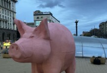 Прасе - касичка