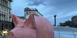 Прасе - касичка