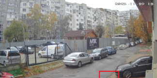 Прегазено куче в кв. "Разсадника" в София