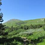 Държавата публикува за обществено обсъждане плана за Природен парк „Витоша“ Природен парк "Витоша"