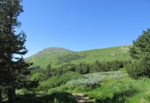 Държавата публикува за обществено обсъждане плана за Природен парк „Витоша“ Природен парк "Витоша"