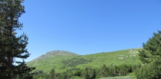 Природен парк "Витоша"