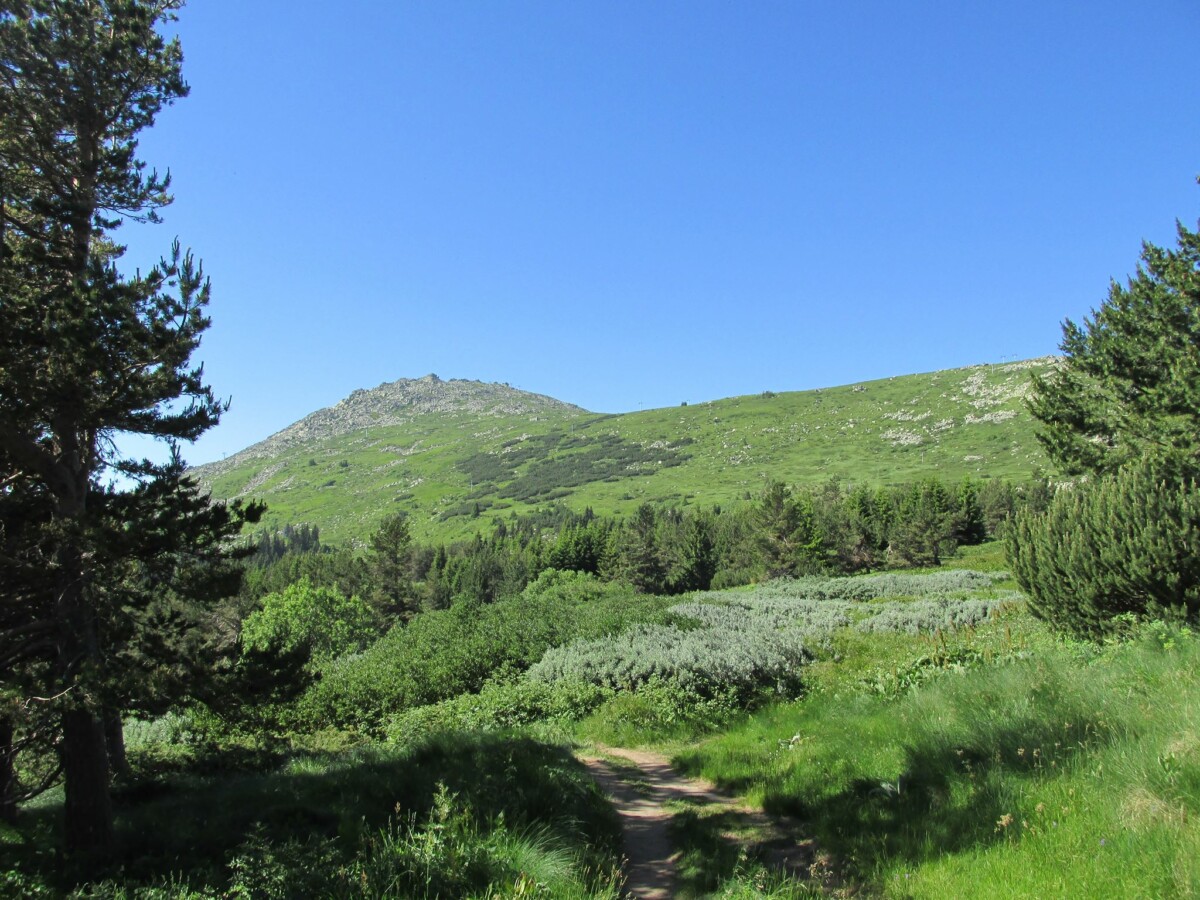 Министерството на земеделието и храните и Министерството на туризма информираха