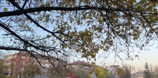 Протестът пред ВМА