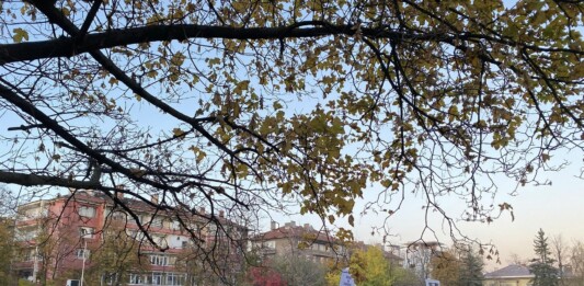 Протестът пред ВМА