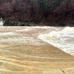 Ситуацията в Ардино