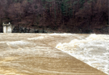 Частично бедствено положение в Ардино заради валежите Ситуацията в Ардино