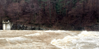 Ситуацията в Ардино