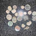 Старинни монети и накити са били иззети от дома на мъж в Айтоско (СНИМКИ) Старинни предмети