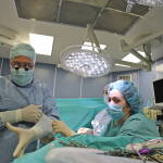 Трима души получиха шанс за нов живот след донорска ситуация в „Пирогов“ Трансплантация