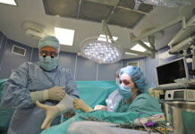 Трансплантация