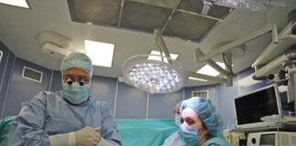 Трансплантация