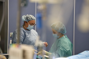 Трансплантация