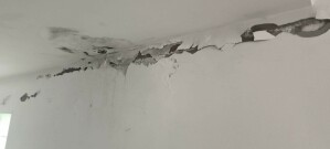 Условията в хосписите