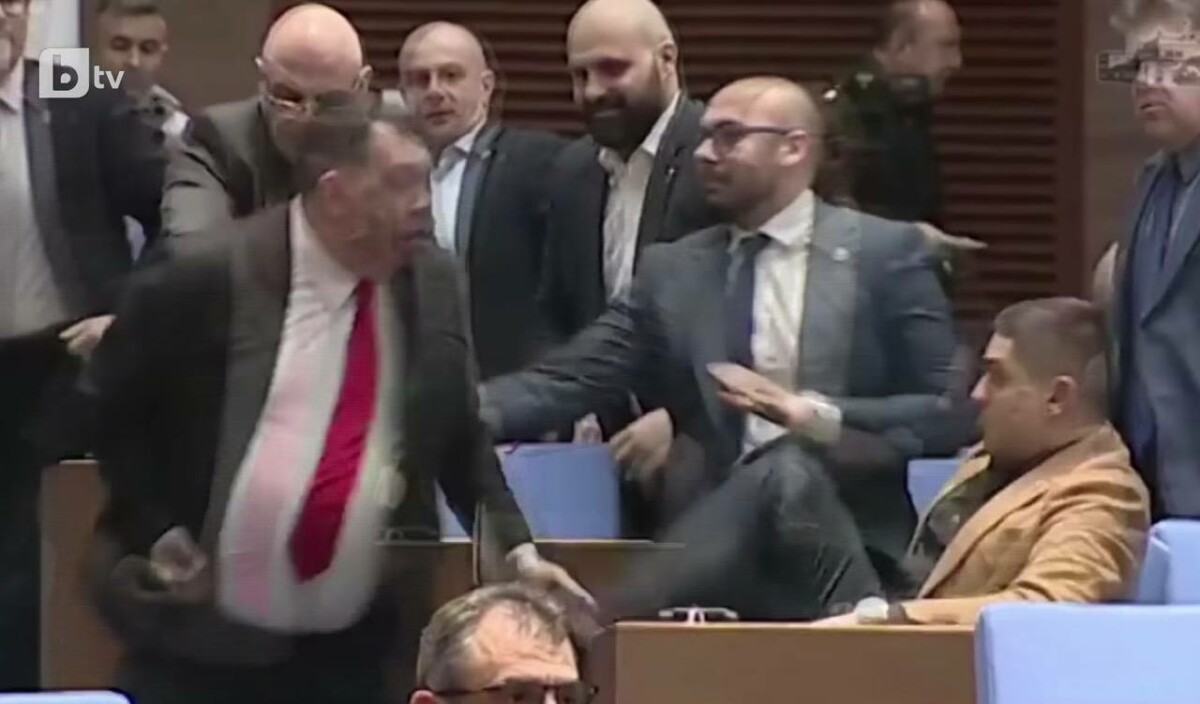 Сцената се е разиграла пред погледите на депутати в пленарната
