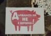 Държавата ни не е кочина! - един от лозунгите на протеста.
