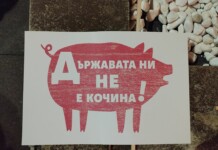 На протест на 10.12.2025 г. Държавата ни не е кочина! - един от лозунгите на протеста.