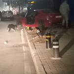 Катастрофата