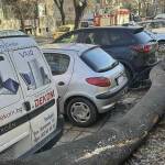 Паднало дърво в Сопот