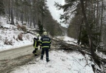 Бурен вятър в Пловдивско: 90 сигнала за едно денонощие Паднало дърво заради вятър