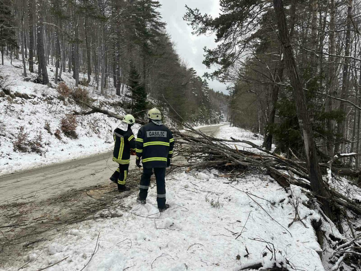 Денонощието за огнеборците и спасителите в Пловдивска област е било