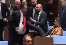 Радостин Василев рита Гюнай Далоолу