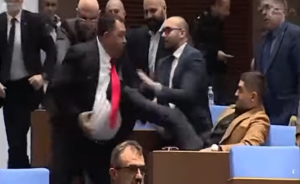 Радостин Василев рита Гюнай Далоолу