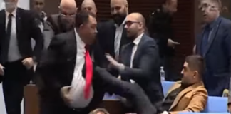 Радостин Василев рита Гюнай Далоолу