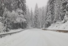 Снежен път в Смолянско