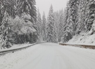 Снежен път в Смолянско