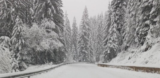 Снежен път в Смолянско