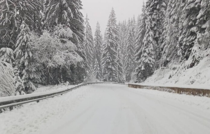 Снежен път в Смолянско