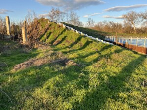 Община Ямбол с одобрен проект за трибуна с козирка на стадион „Тунджа“ 1 Стадион "Тунджа"