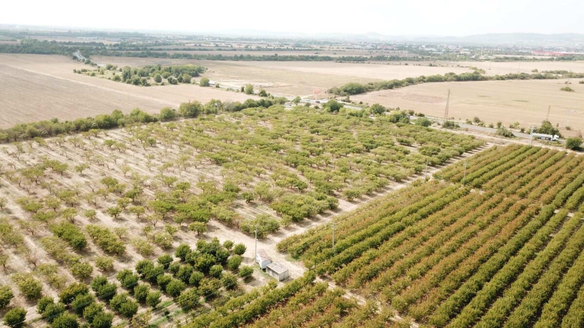 БКПЗ изразява сериозна тревога от бързо ескалиращия проблем причинен от
