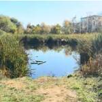 Боянското блато