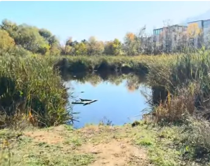 Кметът на София Васил Терзиев е издал заповед за спиране