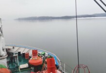 Има ли опасност от ледоход по река Дунав?