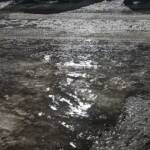 Студ и заледявания са обхванали област Разград