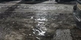 Студ и заледявания са обхванали област Разград