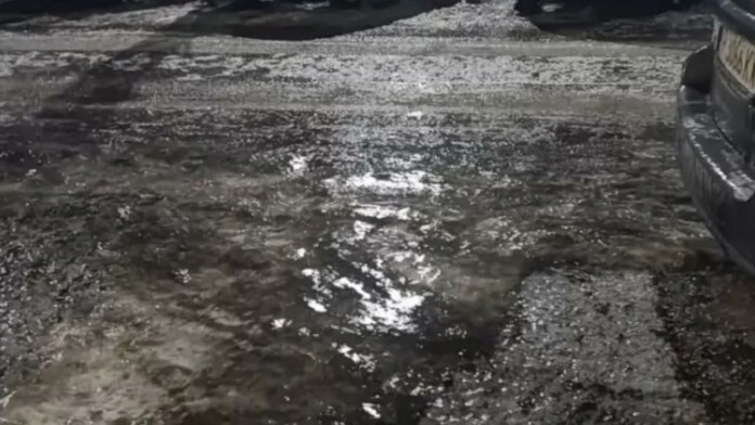 Студ и заледявания са обхванали област Разград Студ и заледявания са обхванали област Разград