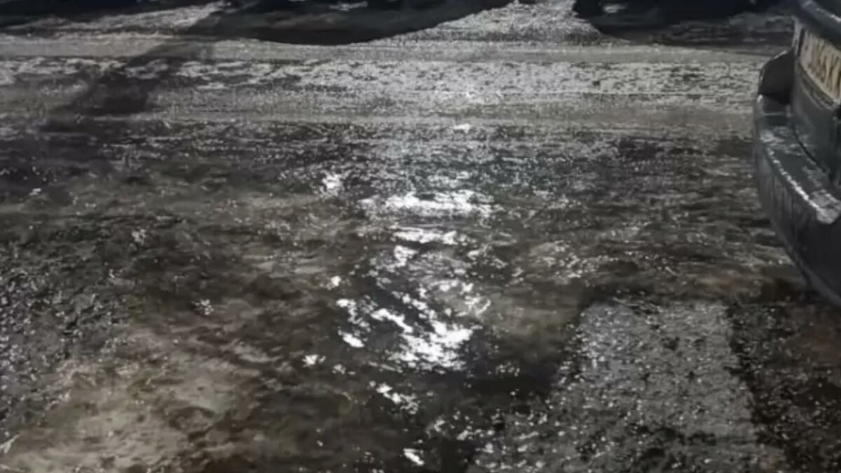 Очакваните температури през деня в област Разград днес са от