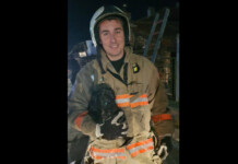 Герои в униформа: Пожарникар и колегите му спасиха куче и жена при голям пожар в Раковски Огнеборецът Йосиф Леков и спасеното куче