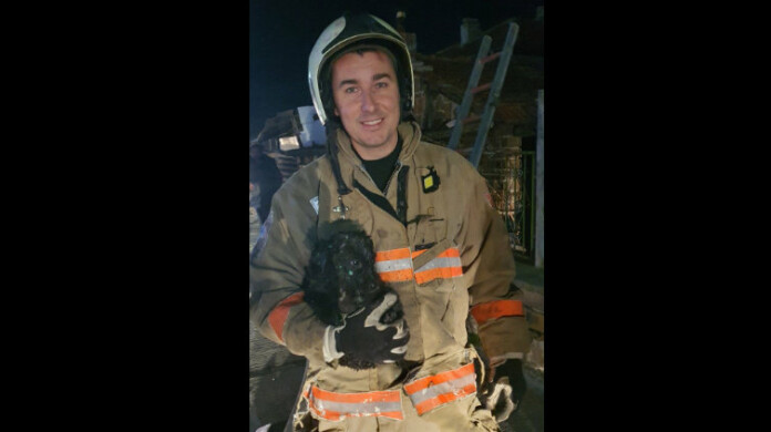 Огнеборецът Йосиф Леков и спасеното куче Огнеборецът Йосиф Леков и спасеното куче