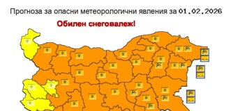 Оранжев код