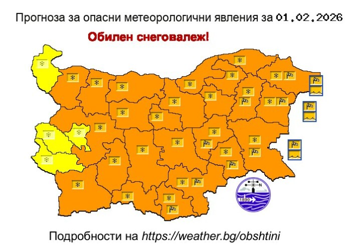 Оранжев код