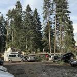 Ураганен вятър в Боровец и Самоков! BG-ALERT разпространи предупреждение Паднало дърво в Боровец, община Самоков заради вятър