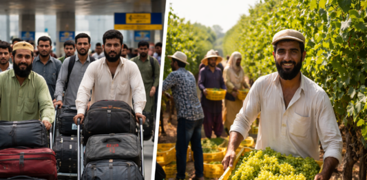 Ще бъде ли залята България от пакистанци?
