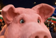 Прасето от протестите