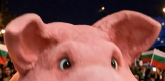 Прасето от протестите