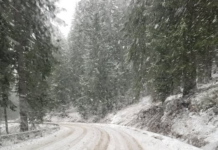 Затвориха прохода „Превала“ за камиони Проходът "Превала"